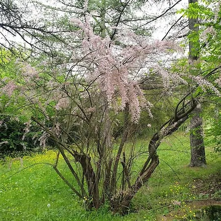 Le Stagioni Del Parco Apartment
