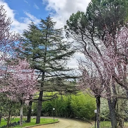 Le Stagioni Del Parco Apartment Carteria di Sesto Rastignano