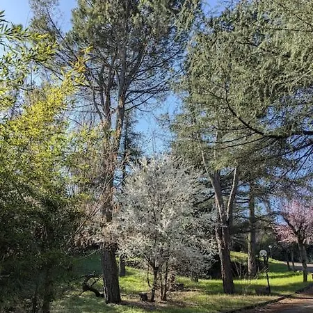 Le Stagioni Del Parco