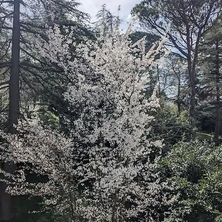 Le Stagioni Del Parco