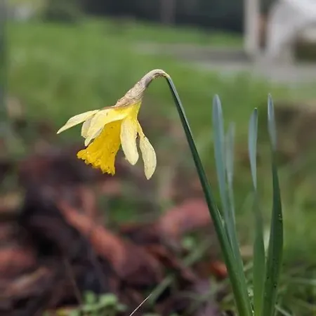 Le Stagioni Del Parco Apartamento Carteria di Sesto Rastignano