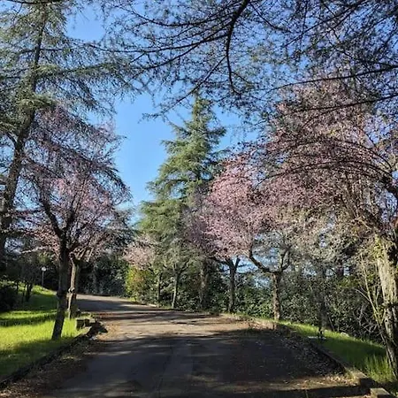 Apartamento Le Stagioni Del Parco *
