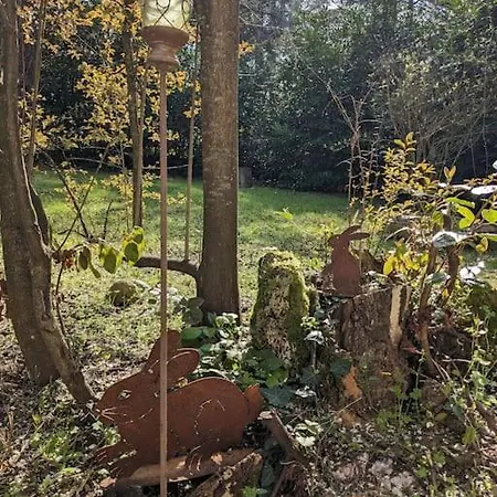 Le Stagioni Del Parco