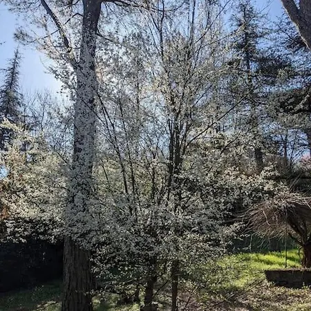 Apartamento Le Stagioni Del Parco