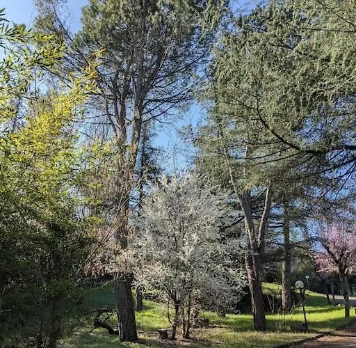 Le Stagioni Del Parco