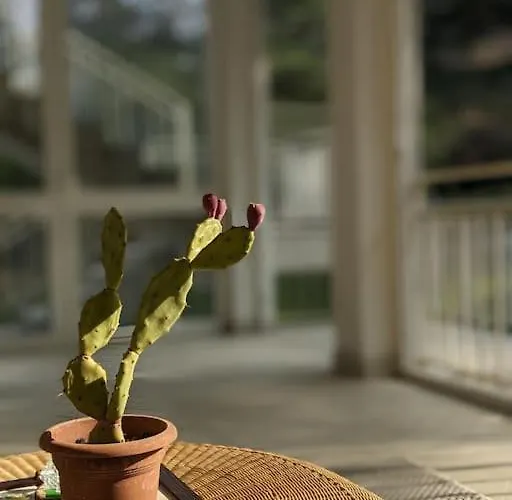 شقة Le Stagioni Del Parco كارتيريا دي سيستو را