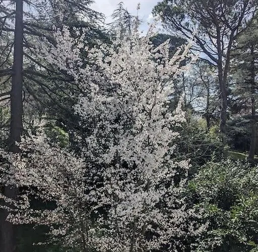 Le Stagioni Del Parco