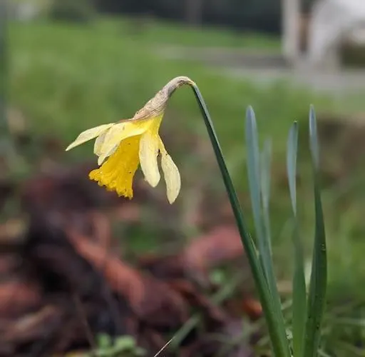 Le Stagioni Del Parco شقة كارتيريا دي سيستو را