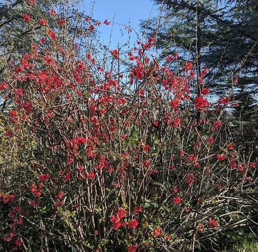 Le Stagioni Del Parco شقة *