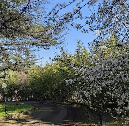 Le Stagioni Del Parco