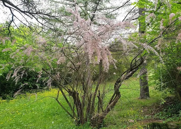 Le Stagioni Del Parco Lejlighed