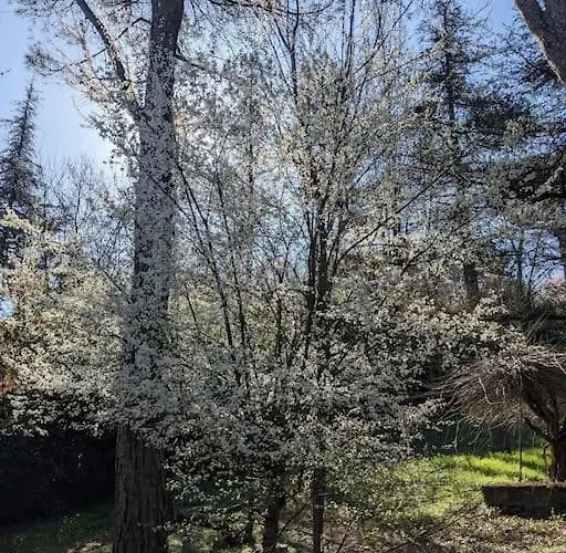 Lejlighed Le Stagioni Del Parco